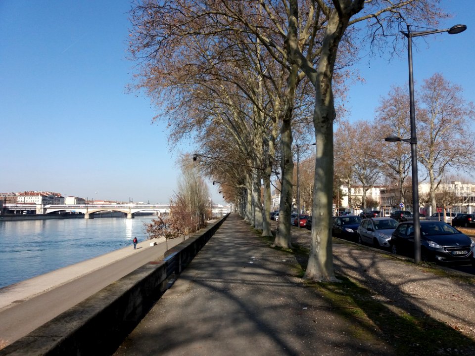 Lyon 7e - Avenue Leclerc, trottoir longeant le Rhône