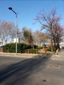 Lyon 7e - Avenue Leclerc, jardin vu depuis la rue Gustave Nadaud