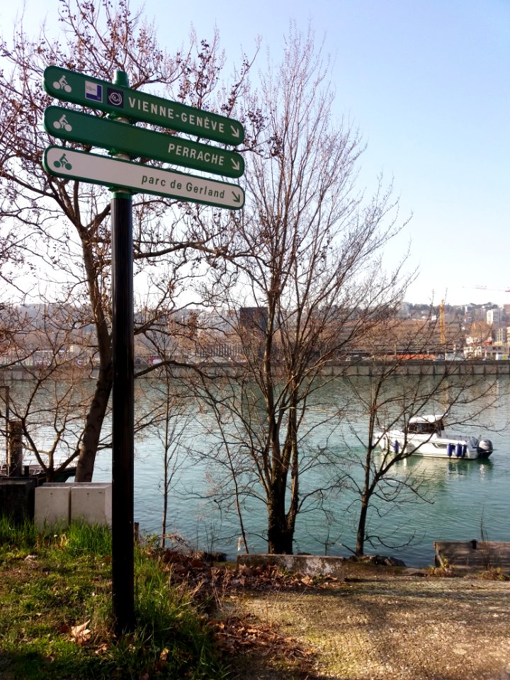 Lyon 7e - Avenue Leclerc, panneaux pour les cyclistes