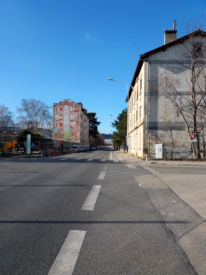Lyon 7e - Allée Pierre de Coubertin, côté nord depuis la rue Jean-Pierre Chevrot
