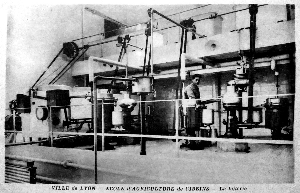 Lyon 3e - Bibliothèque municipale de Lyon - Tous à table, carte postale du cellier et de la laiterie de l'École d'agriculture de Cibeins