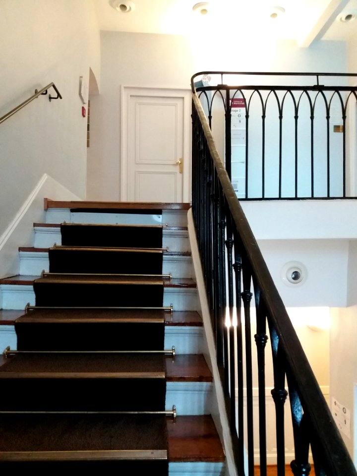 Lyon 3e - Château de Montchat - Haut de l'escalier