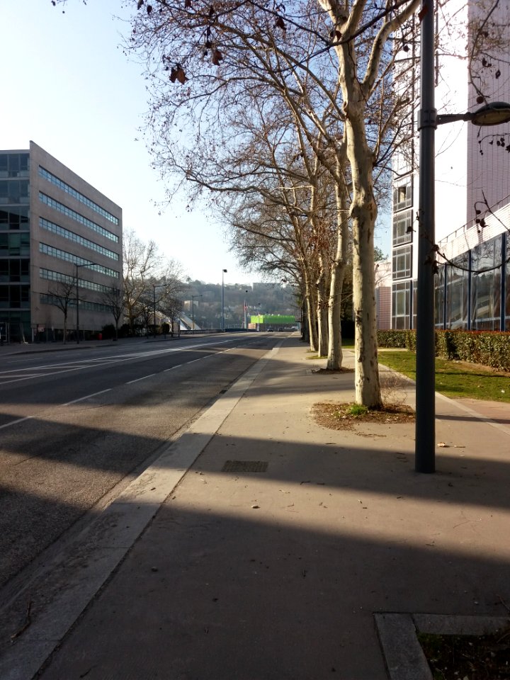 Lyon 7e - Allée du Pont Pasteur, en direction du pont