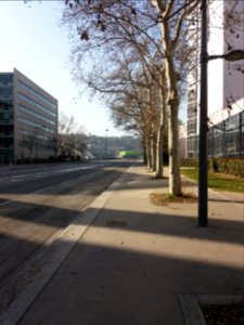 Lyon 7e - Allée du Pont Pasteur, en direction du pont
