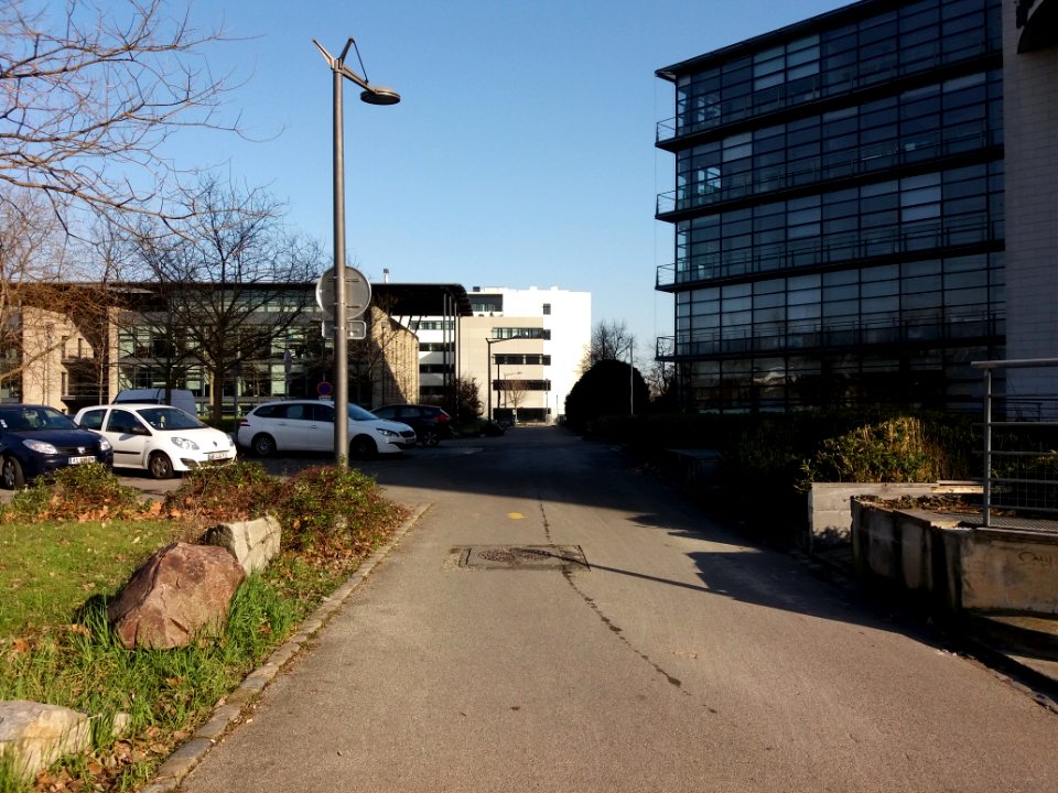 Lyon 7e - Allée de Lodz, en direction de la rue Jonas Salk