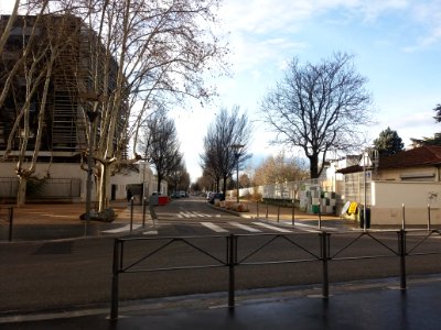 Lyon 7e - Allée de Fontenay, vue depuis son extrémité nord