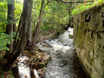 Luppbode Treseburg