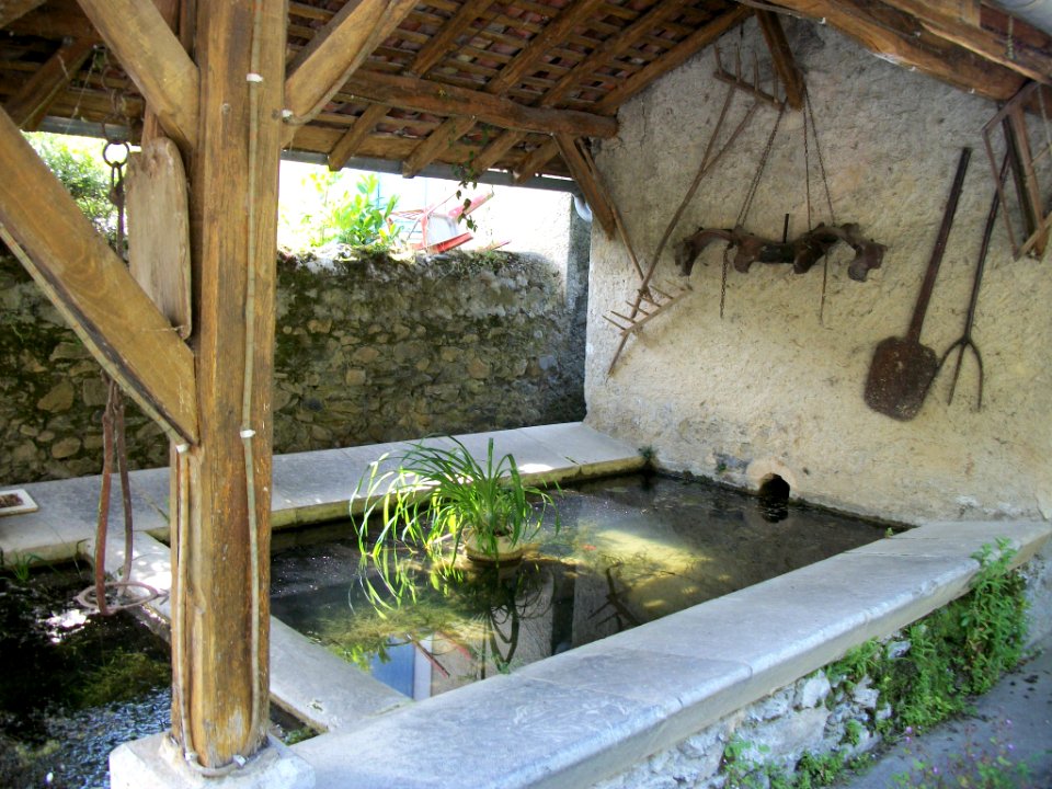 Luscan 10