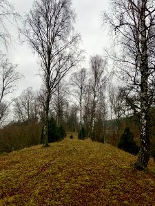 Lunden naturreservat stig på rullstensåsen