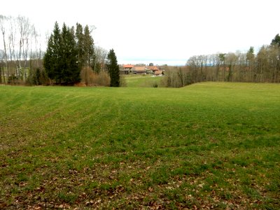 Lurtigen und Staatswald Galm