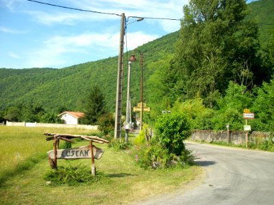 Luscan 01