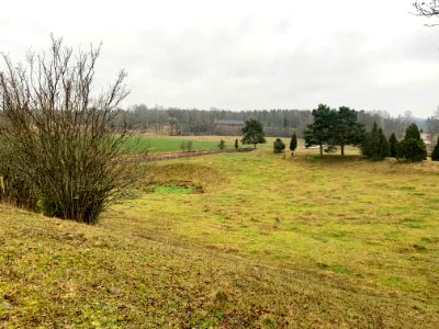 Lunden naturreservat