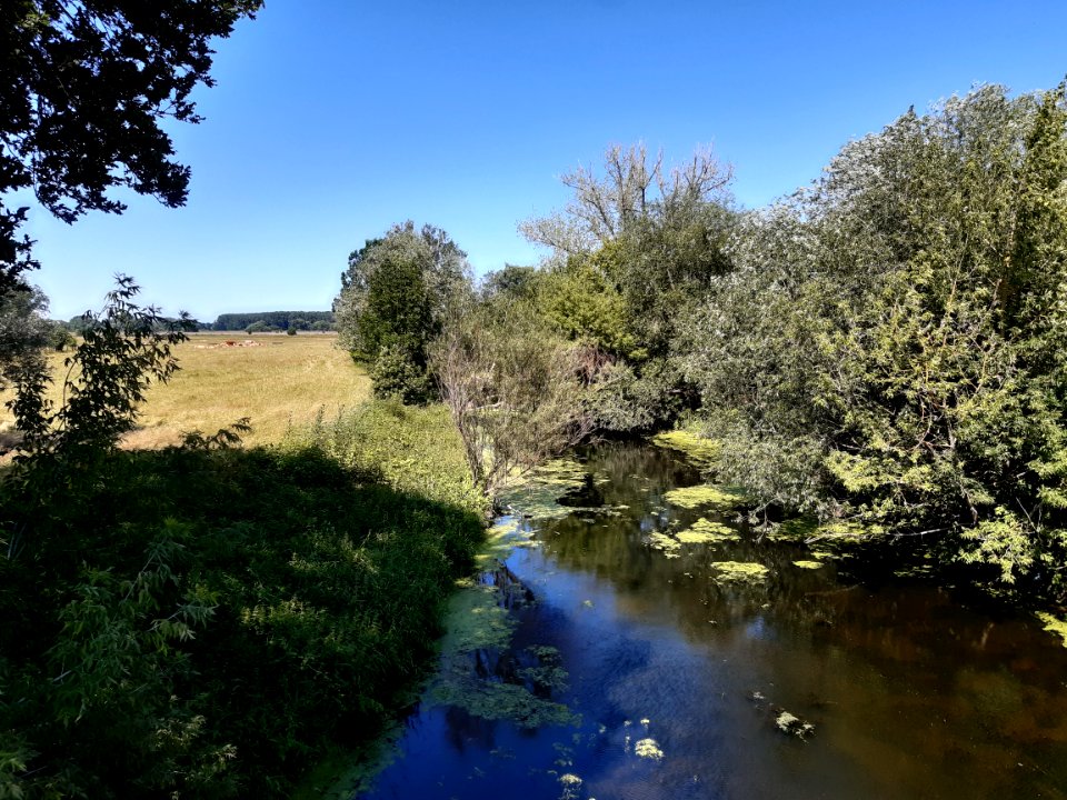 Luppe bei Kollenbey2