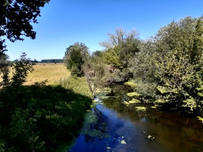 Luppe bei Kollenbey2
