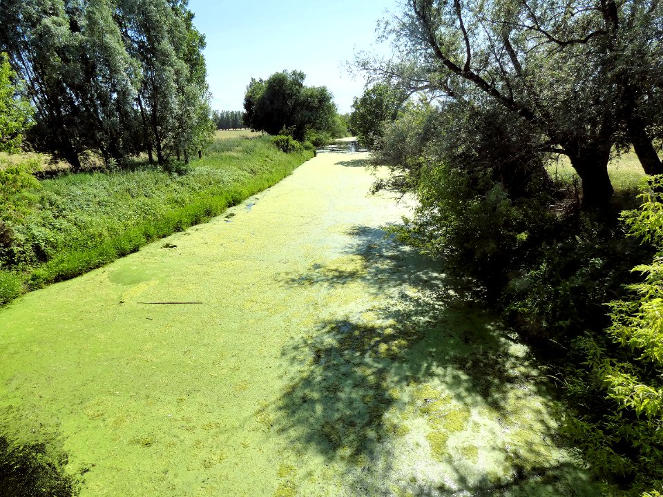 Luppe bei Kollenbey