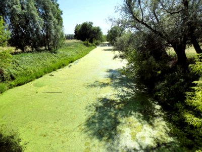 Luppe bei Kollenbey