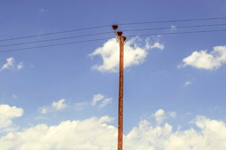 Wires telephone line photo