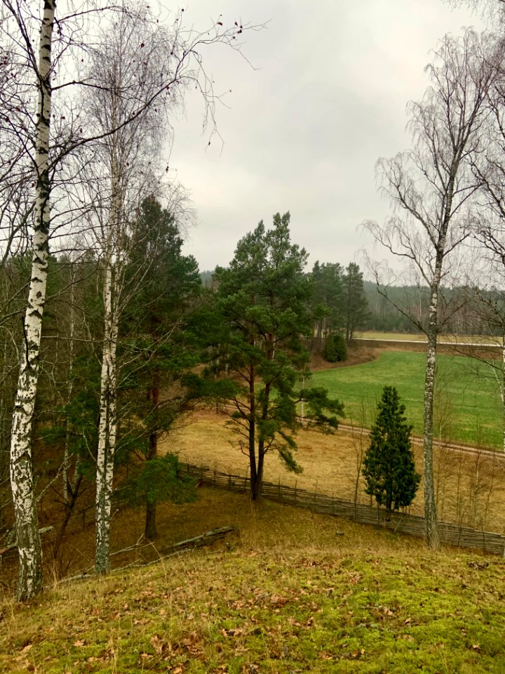 Lunden naturreservat vy från rullstensåsen