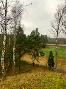Lunden naturreservat vy från rullstensåsen