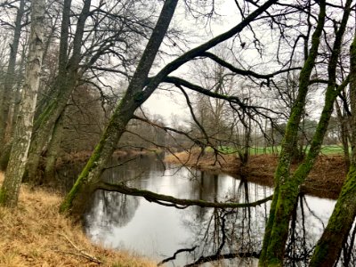 Lunden naturreservat Emån