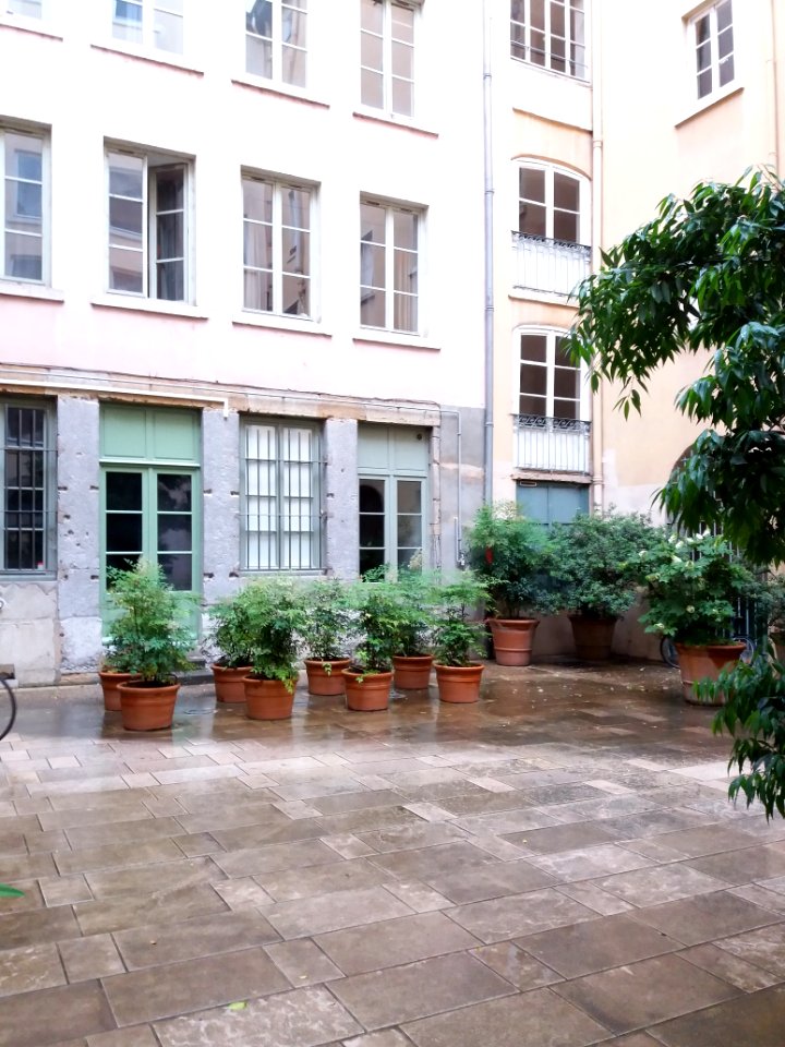 Lyon 1er - Rue des Capucins, numéro 6, cour (5)