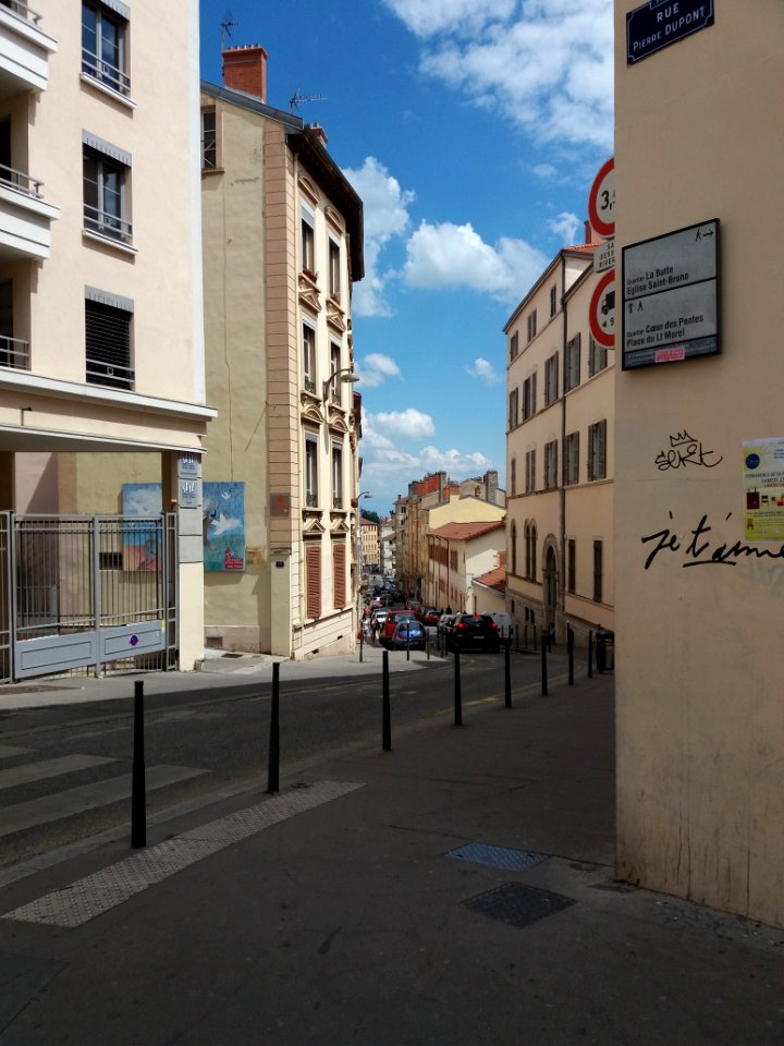 Lyon 1er - Rue des Chartreux, côté est depuis la rue Pierre Dupont