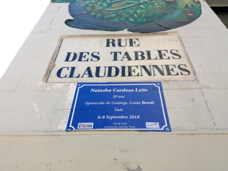Lyon 1er - Rue des Tables Claudiennes, fausse plaque à Natasha Cardoso Leite