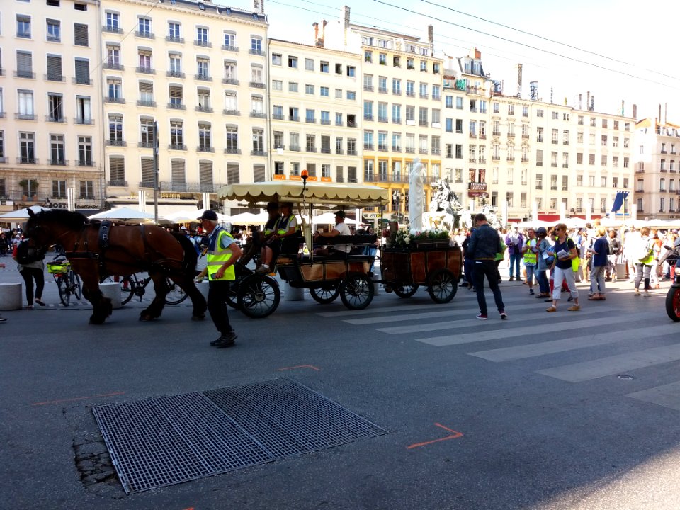 Lyon 1er - Place des Terreaux, passage du pélerinage M de Marie en 2020 (1)