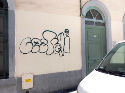Lyon 1er - Rue Burdeau - Porte au numéro 34 et graffiti