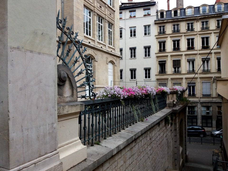 Lyon 1er - Rue Alsace-Lorraine - École Michel Servet, grille et fleurs