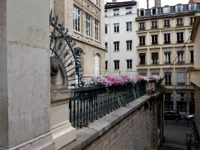 Lyon 1er - Rue Alsace-Lorraine - École Michel Servet, grille et fleurs