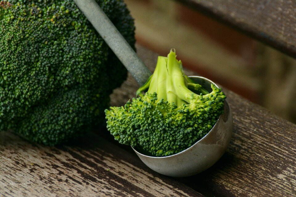 Cook nutrition fresh