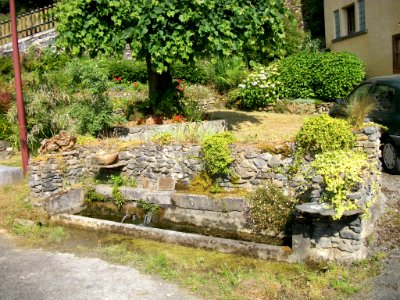 Luscan 06