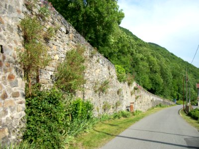 Luscan 28