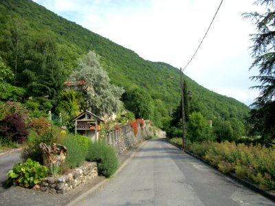 Luscan 36