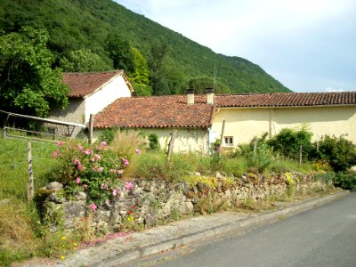 Luscan 30
