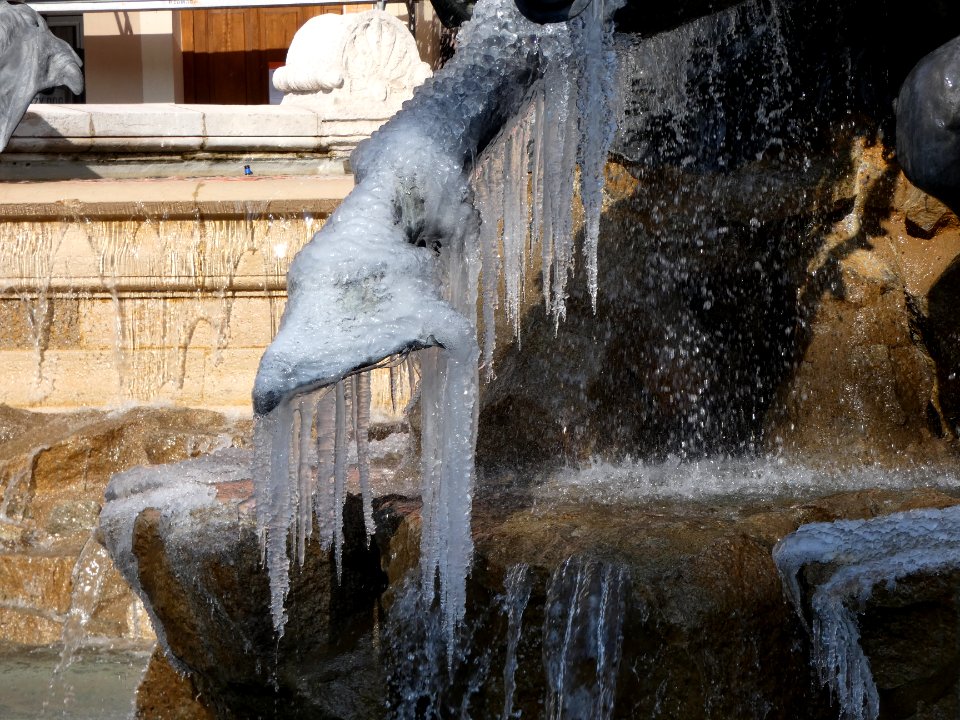 Lyon 1er - Place des Terreaux - Fontaine Bartholdi - Après la neige et le gel - Détail sur un sabot