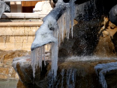 Lyon 1er - Place des Terreaux - Fontaine Bartholdi - Après la neige et le gel - Détail sur un sabot