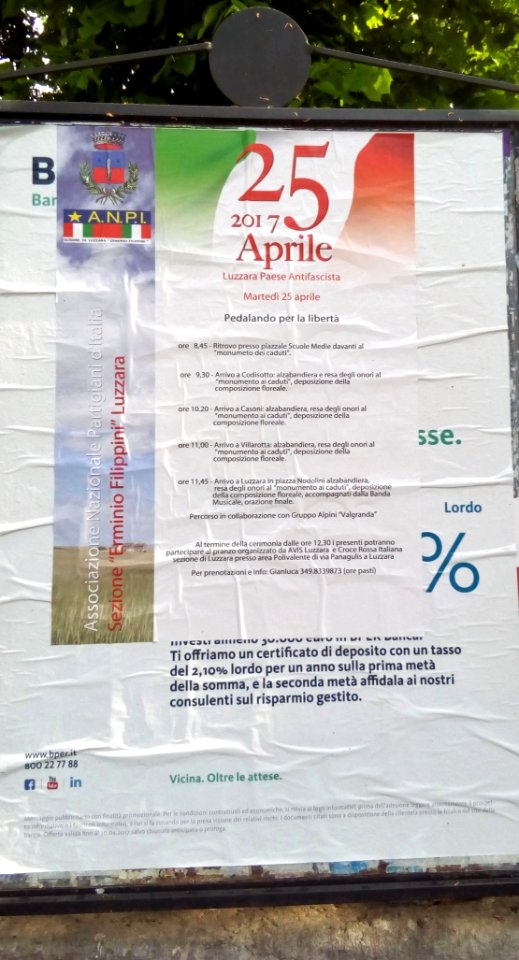 Luzzara (Reggio Emilia) 50