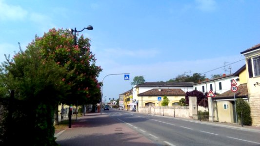 Luzzara (Reggio Emilia) 100