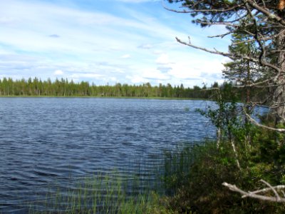 Luikonlampi