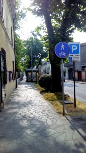 Luzzara (Reggio Emilia) 48
