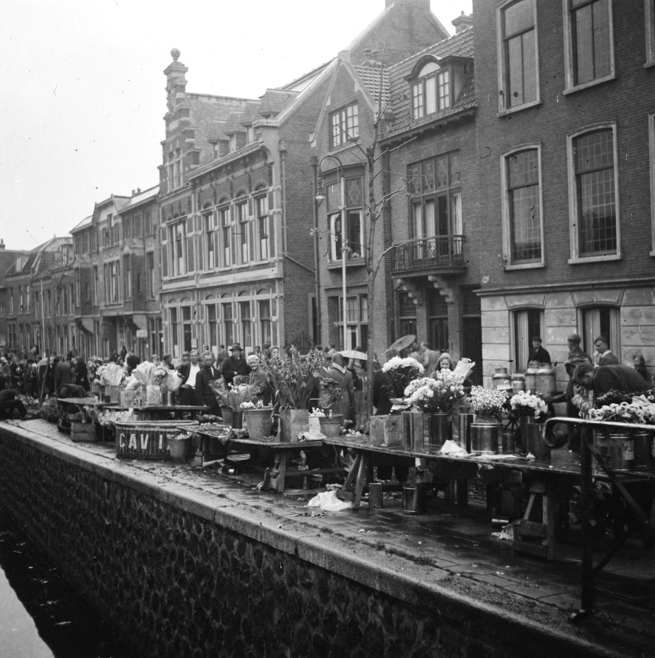 Luilak in Amsterdam, Bestanddeelnr 901-8186