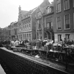 Luilak in Amsterdam, Bestanddeelnr 901-8186 photo