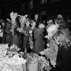 Luilak in Amsterdam, Bestanddeelnr 901-8187 photo