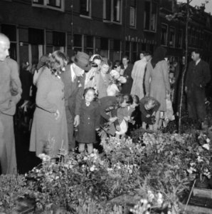 Luilak in Amsterdam, Bestanddeelnr 901-8189