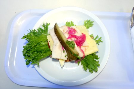 Lunch - Bergianska trädgården - Stockholm, Sweden - DSC00300