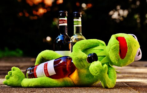Drink alcohol drunk