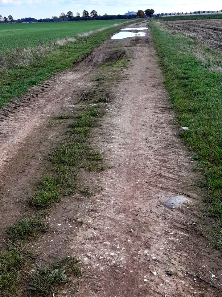Lutherweg Niemberg Wölls-Petersdorf2