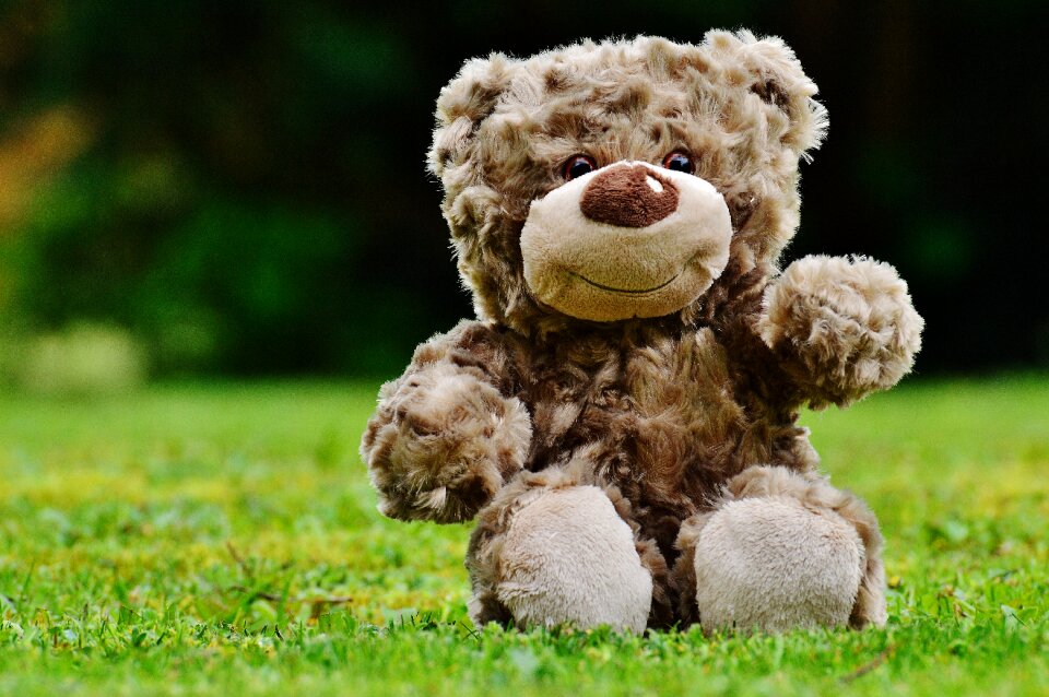 Teddy bear cute child